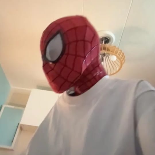 Customer photo review of The Amazing Spider-Man 2 Mask ( Cosplay Version)
