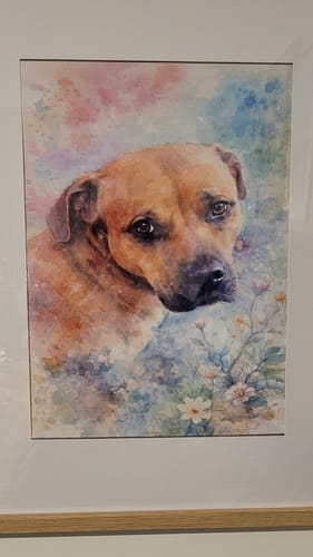 Customer photo review of Personalised Poster With Dog or Cat - Watercolour