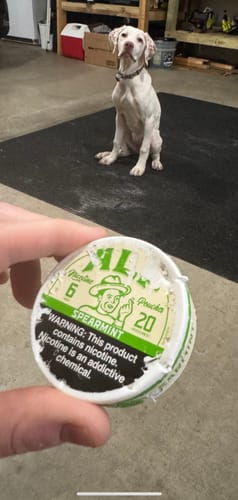 Customer holding a chewed can of Spearmint Nicotine Pouches with a white dog sitting in the background.