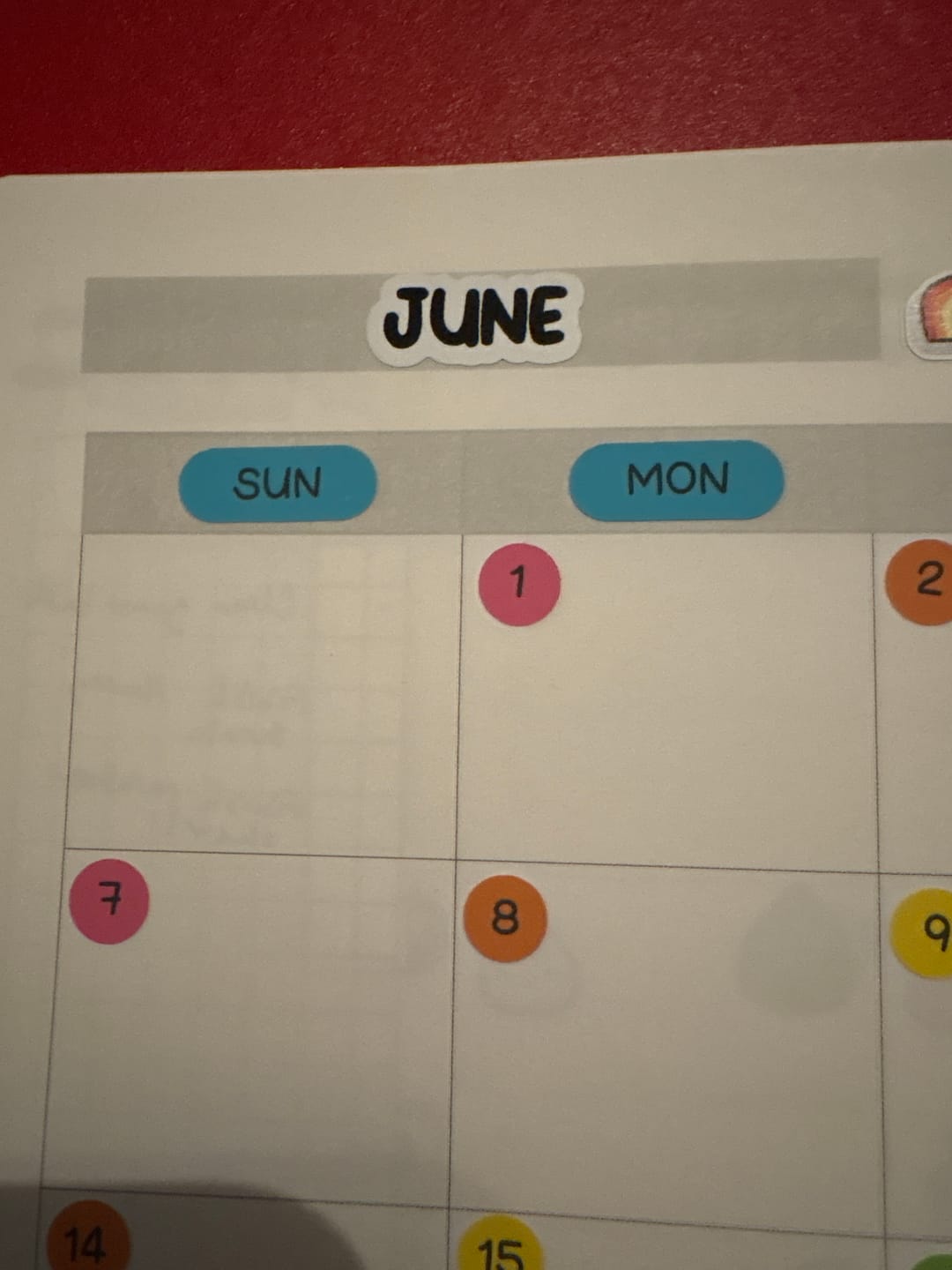Customer photo review of Dates & Numbers - Text Planner Stickers Set (Bold Font)