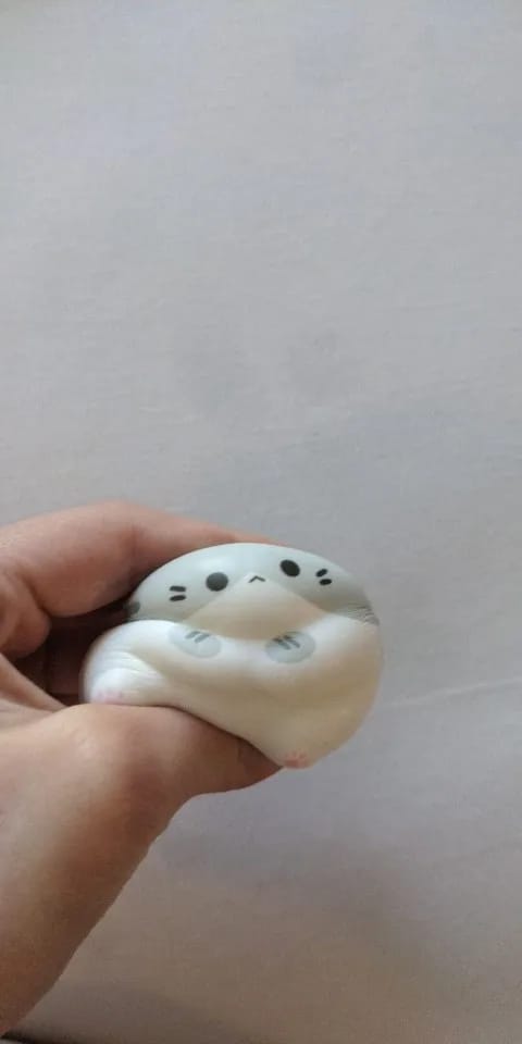 Customer photo review of Curious Cats Squish Toys