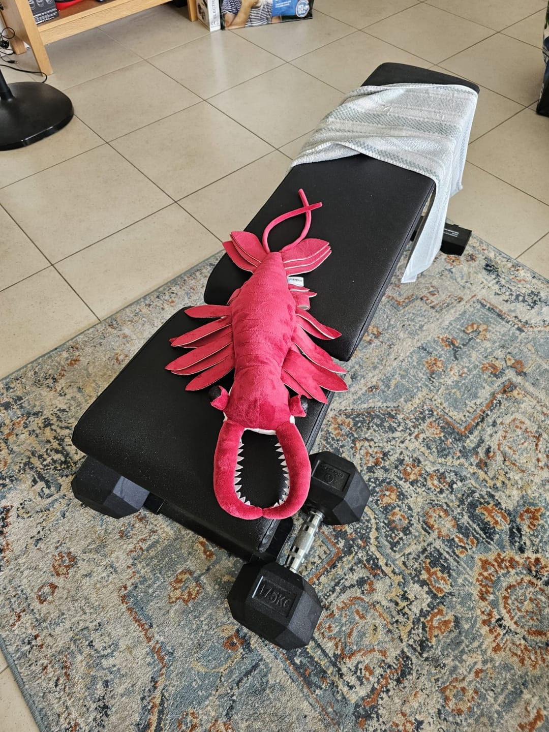 Customer photo review of Anomalocaris Arthropod Soft Stuffed Plush Toy