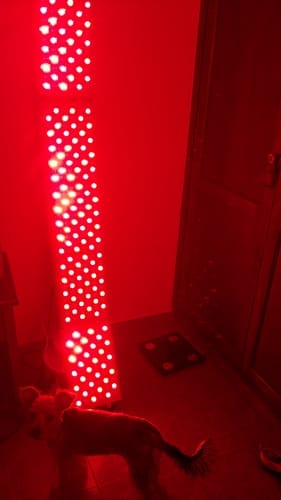 Customer photo review of MAX 2.0