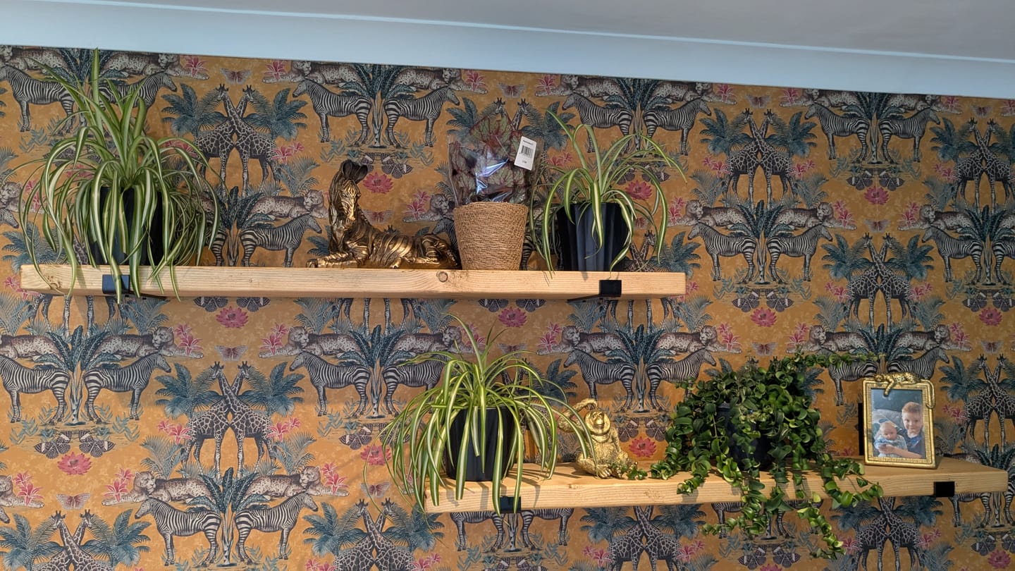Customer photo review of Set of 2 | Rustic Wooden Wall Shelves with Industrial Style Bracket | 22.5cm depth