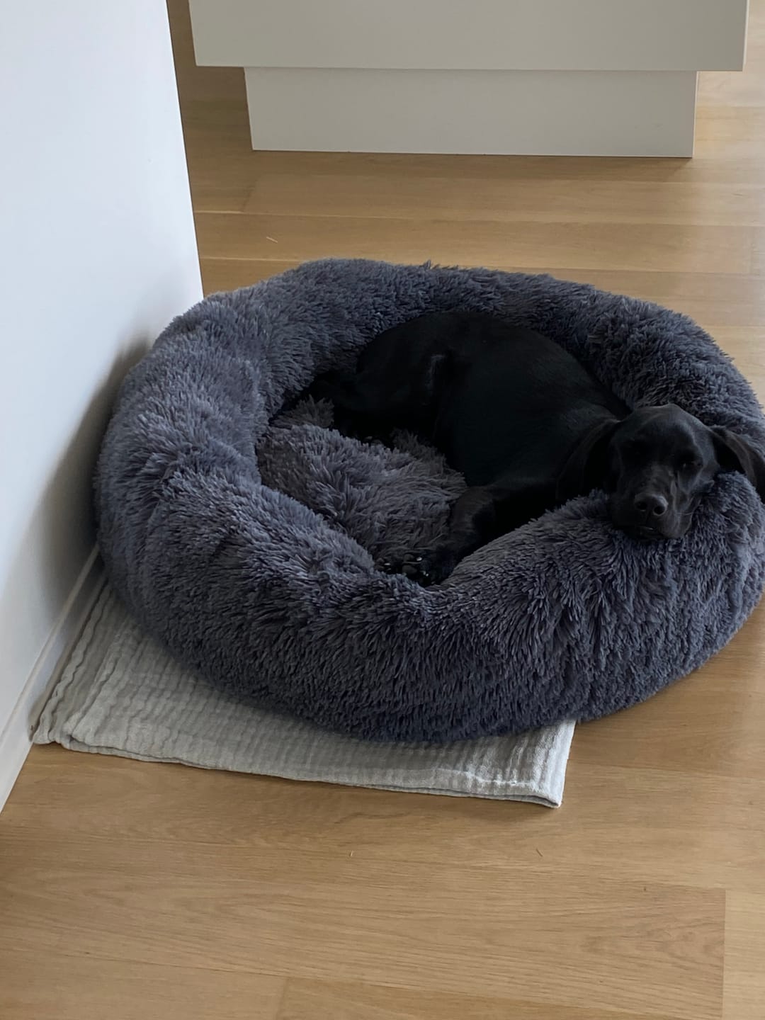 Customer photo review of CalmBed - Motvirker stress & hjelper mot angst