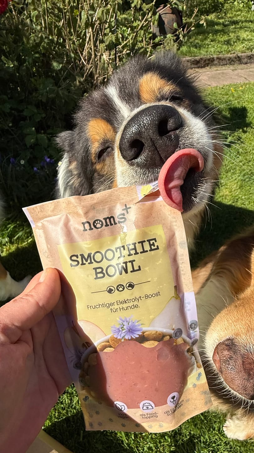 Customer photo review of Hunde Smoothie-Bowl: Der fruchtig frische Elektrolyt-Booster - Ready to eat