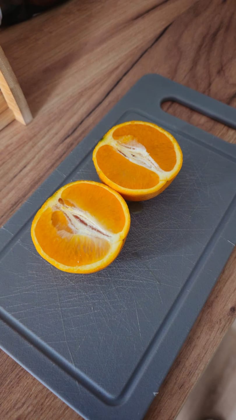 Customer photo review of Saft-Orangen Bio aus Sizilien