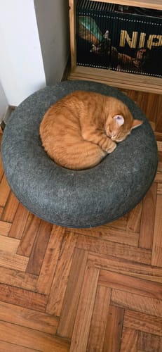 Customer photo review of Cueva Dona