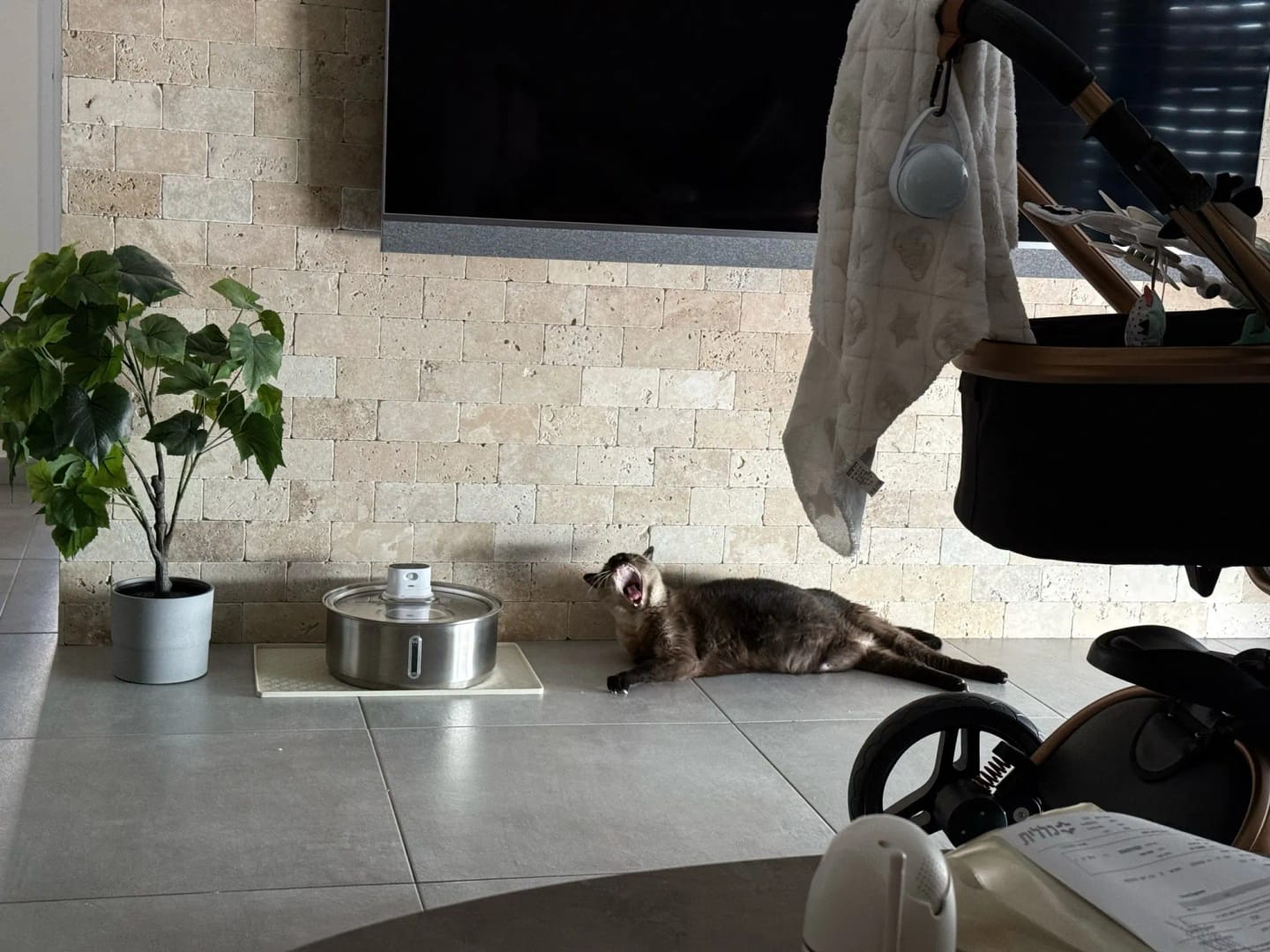 Customer photo review of 8L Wireless Whisker Co Drinking Fountain