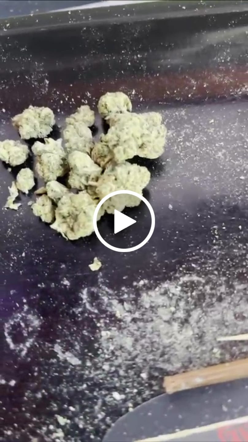 Customer video review of Snowing Candy IceFlash -THCa Flower