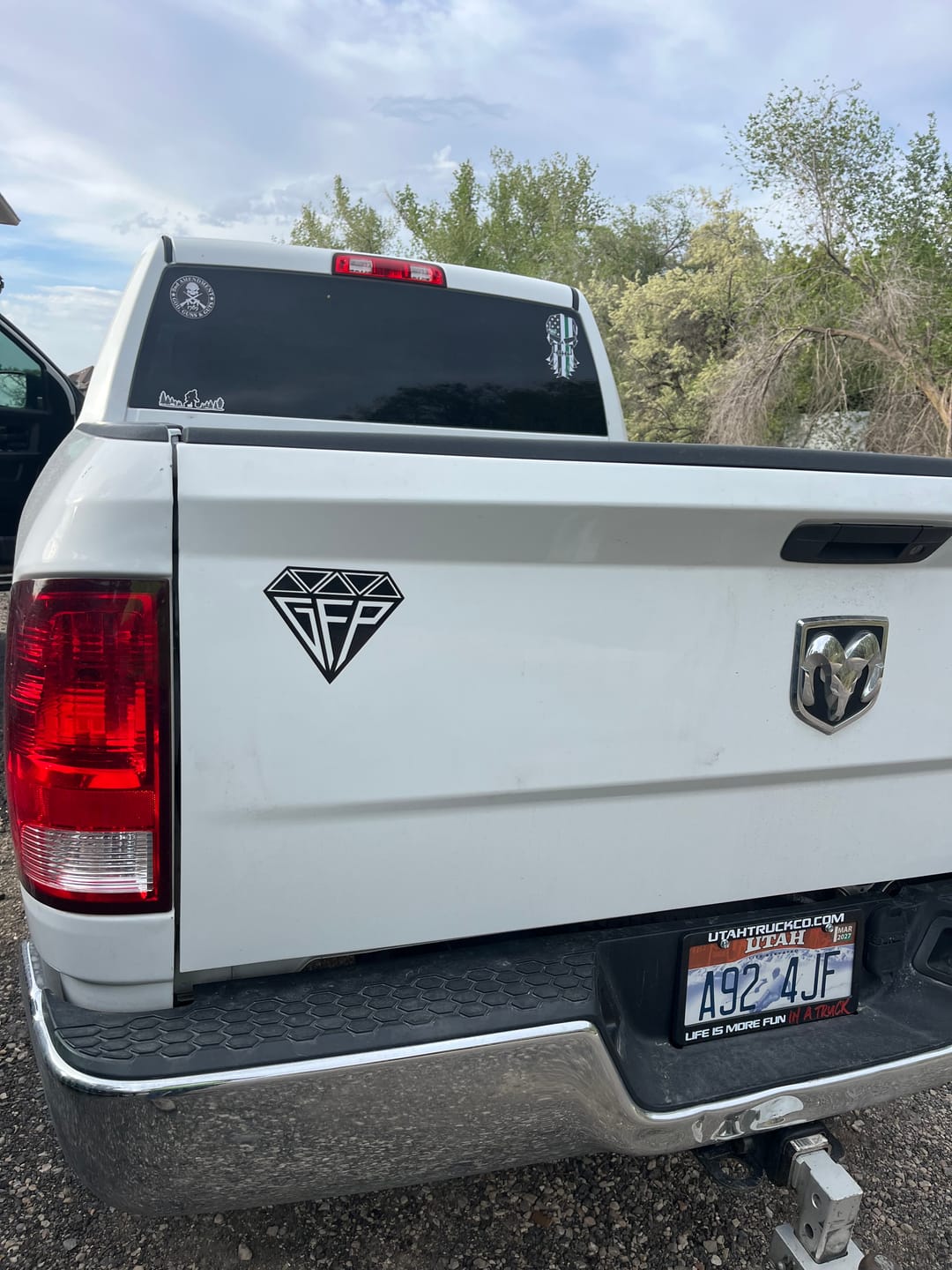 Customer photo review of GFP PREMIUM DECAL