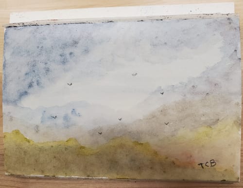 Customer photo review of Derwent Graphitint Pans Set of 3 - Autumn Brown, Ocean Blue, Meadow