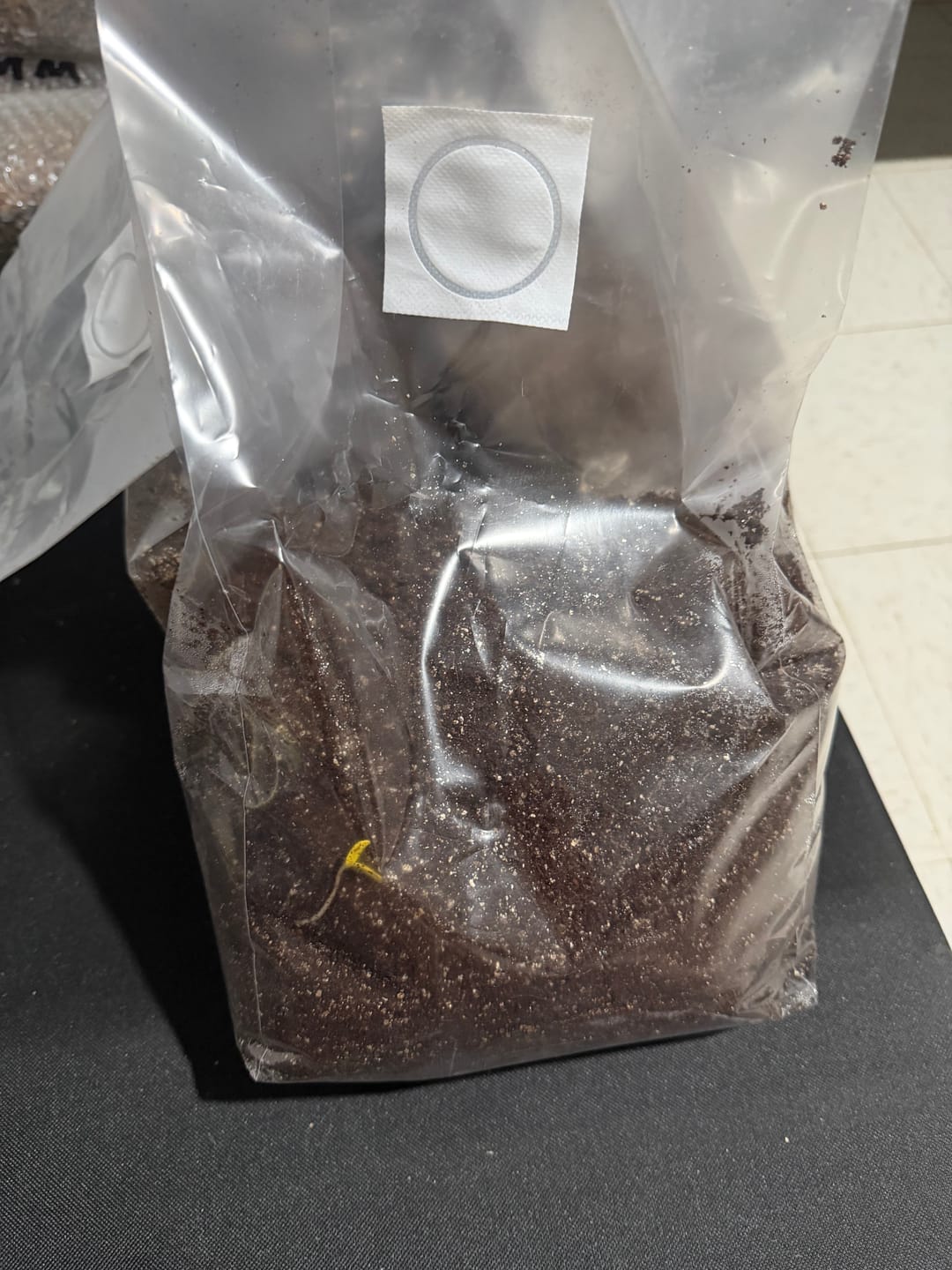Customer photo review of Premium Bulk Substrate Mix 10 LBS