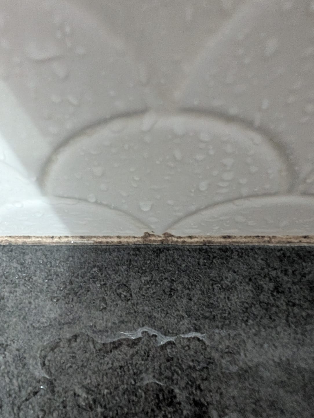 Customer photo review of GLASSGUARD® Miracle Mould Removal Gel