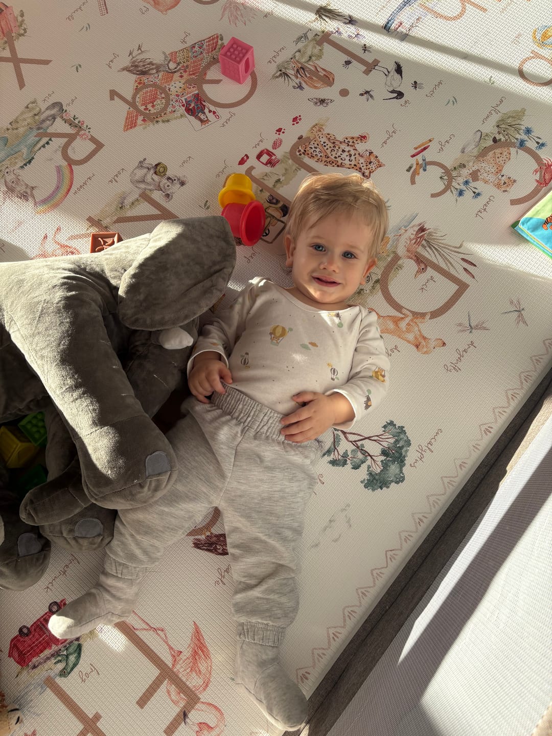 Customer photo review of ABC Storybook (Neutral)/ Checkered