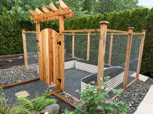 Customer's three tall modular garden beds in a U-shape inside a newly built, fenced-in backyard vegetable garden.