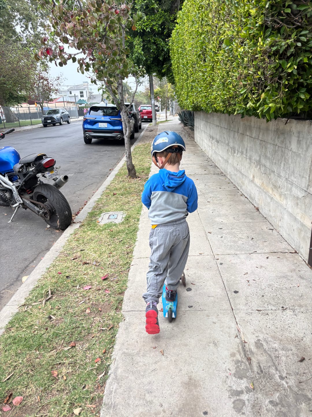 Customer photo review of Shipping Protection
