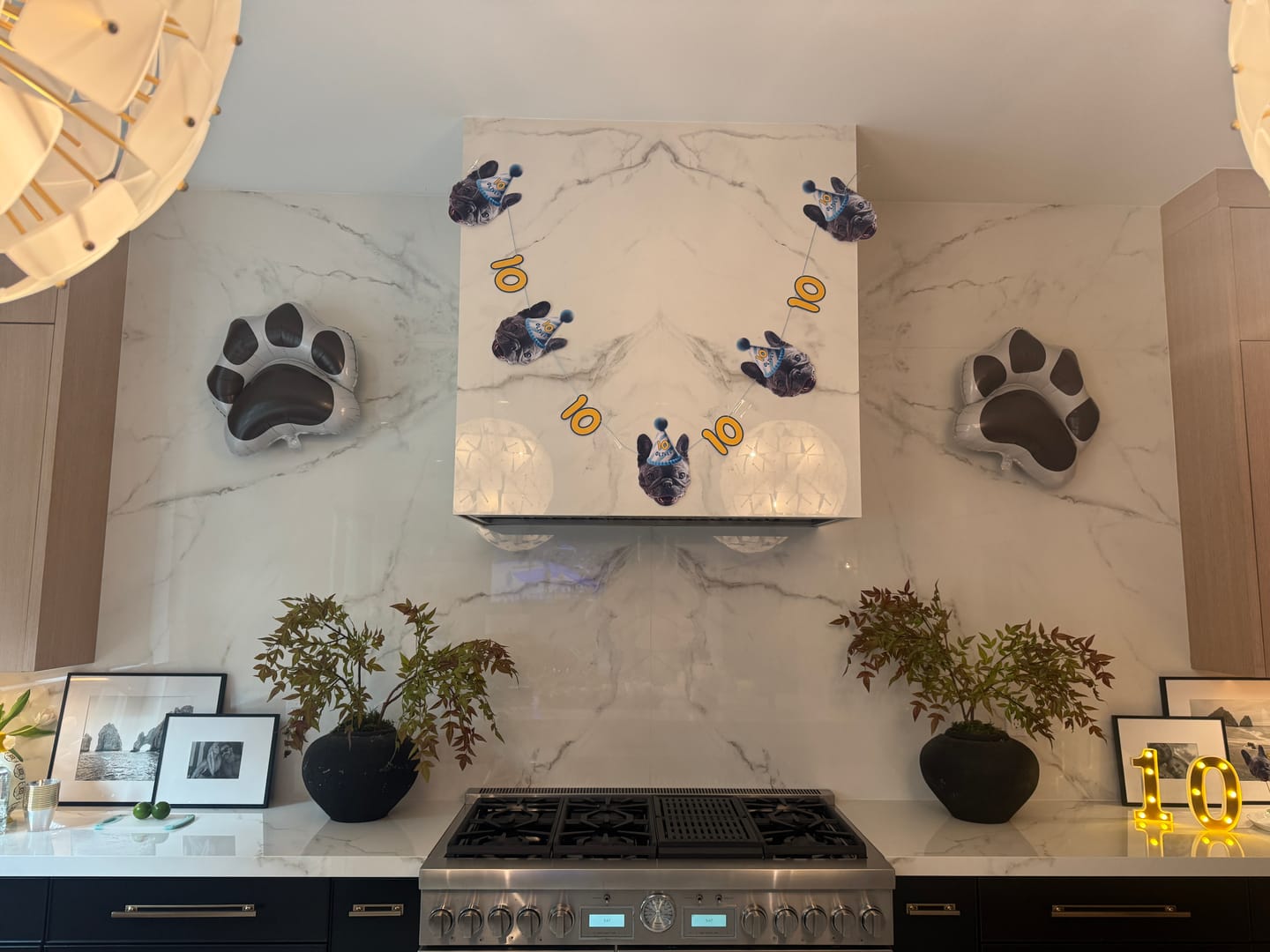 Customer photo review of Standard Personalized Dog Party Pack