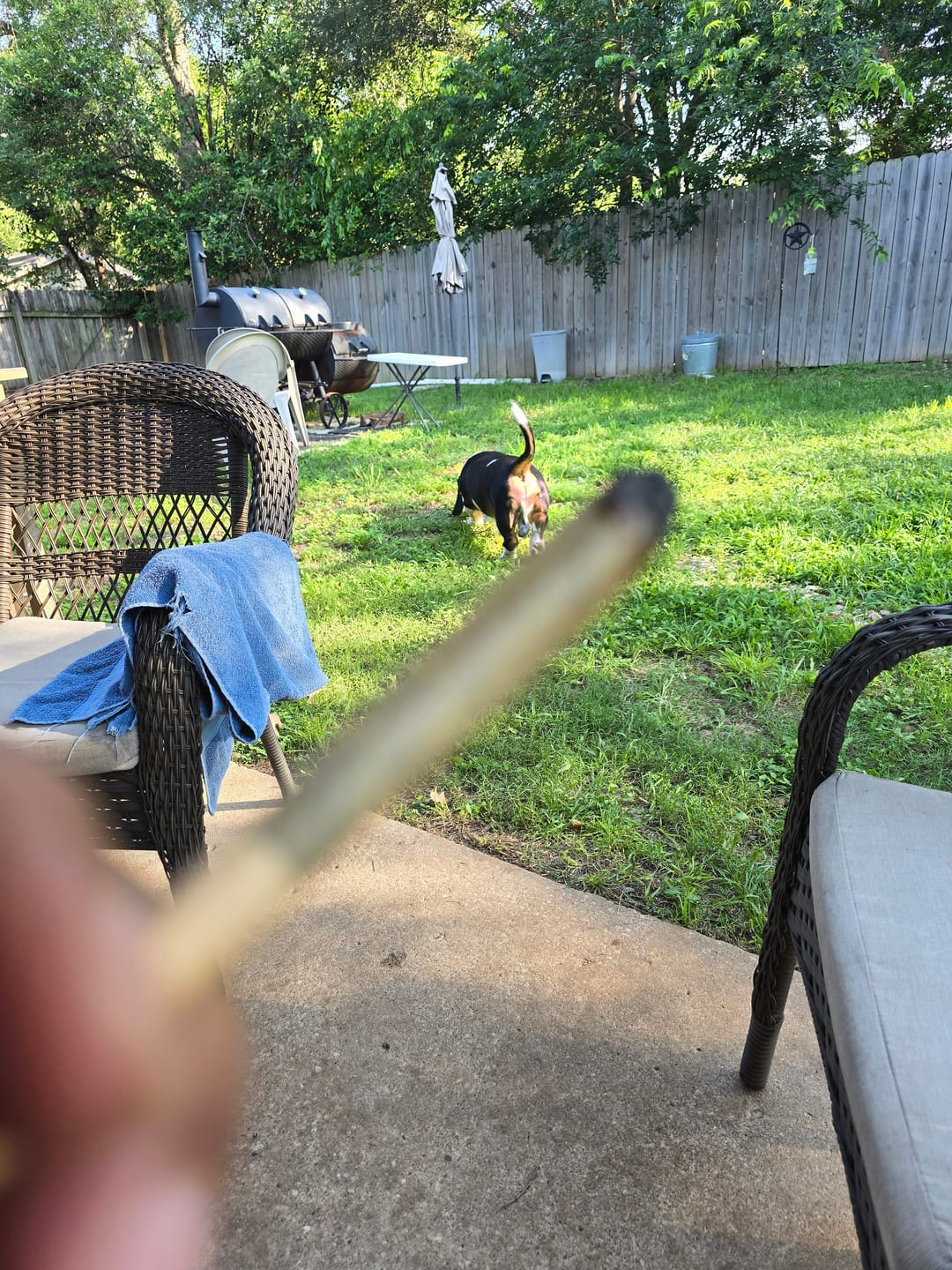 Customer photo review of Blue Dream Pre Roll 1 Gram - 6ct.