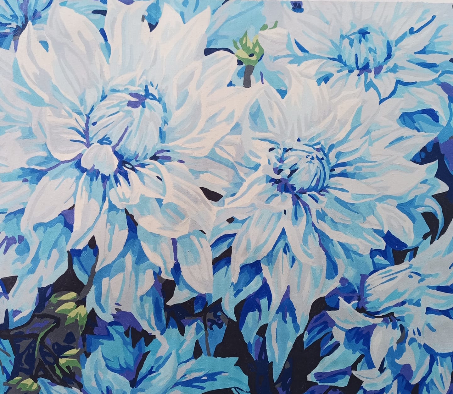 Customer photo review of Azure Chrysanthemums