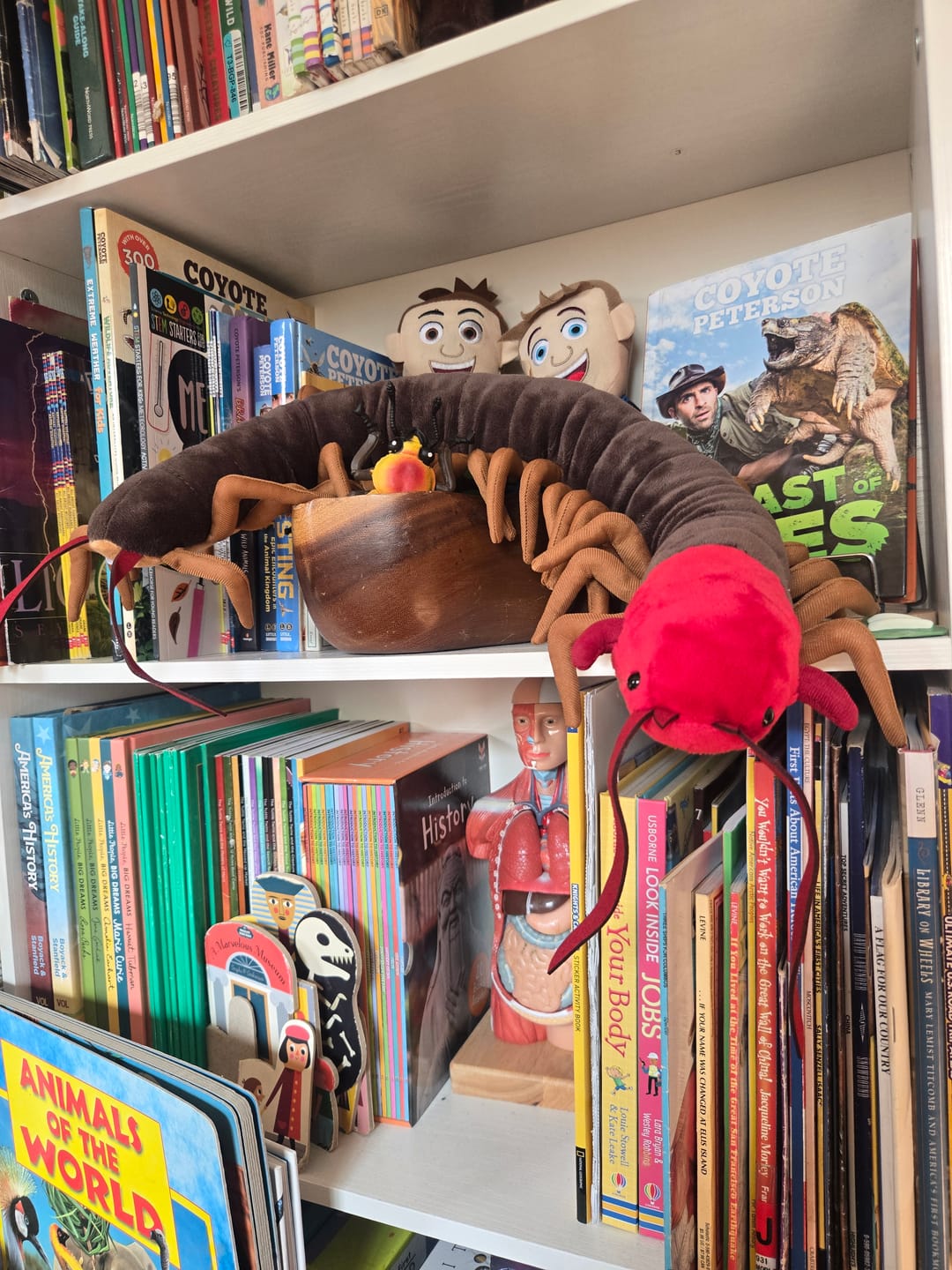 Customer photo review of Chinese Red-Headed Centipede Stuffed Plush Toy
