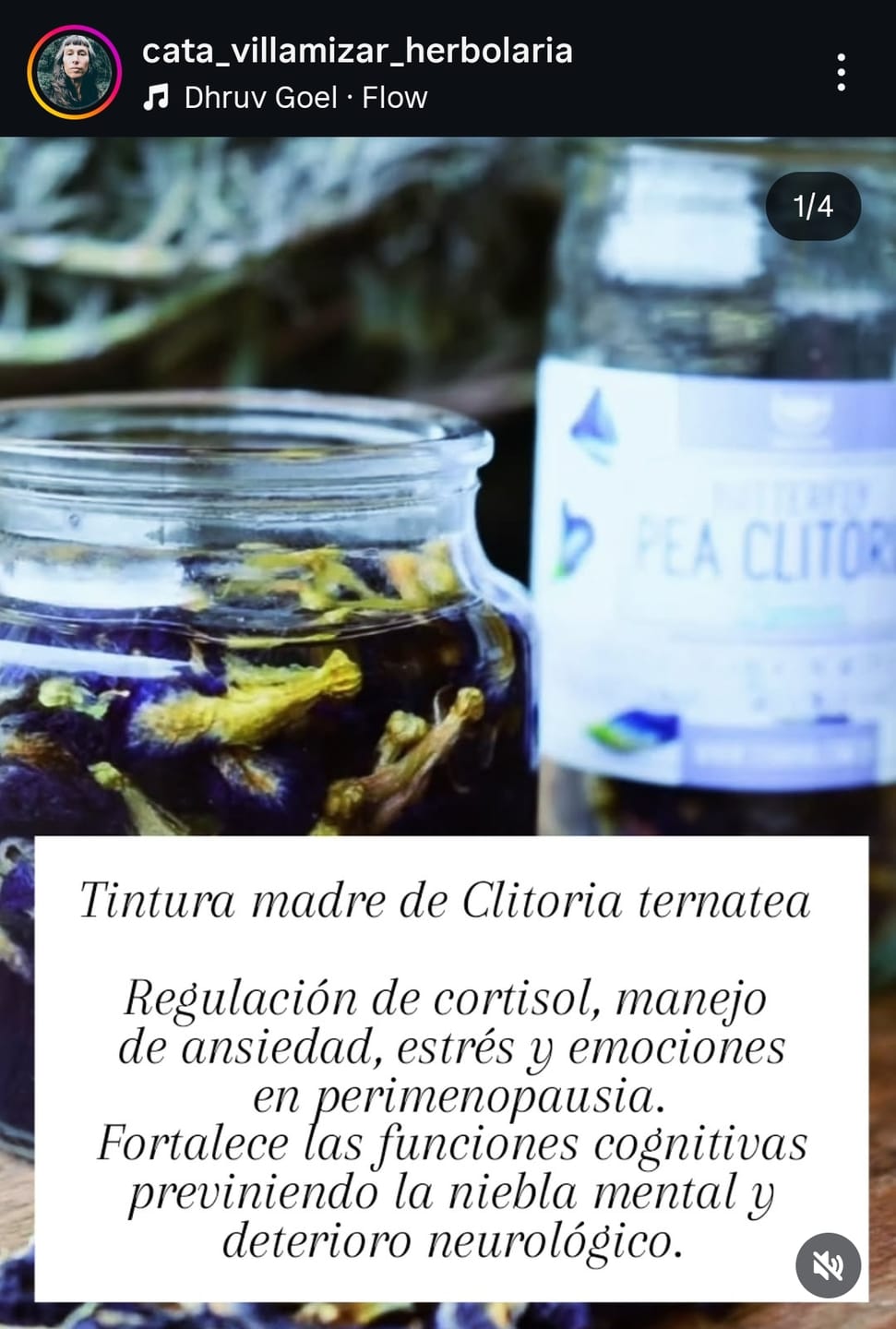 Customer photo review of Butterfly Pea Clitoria