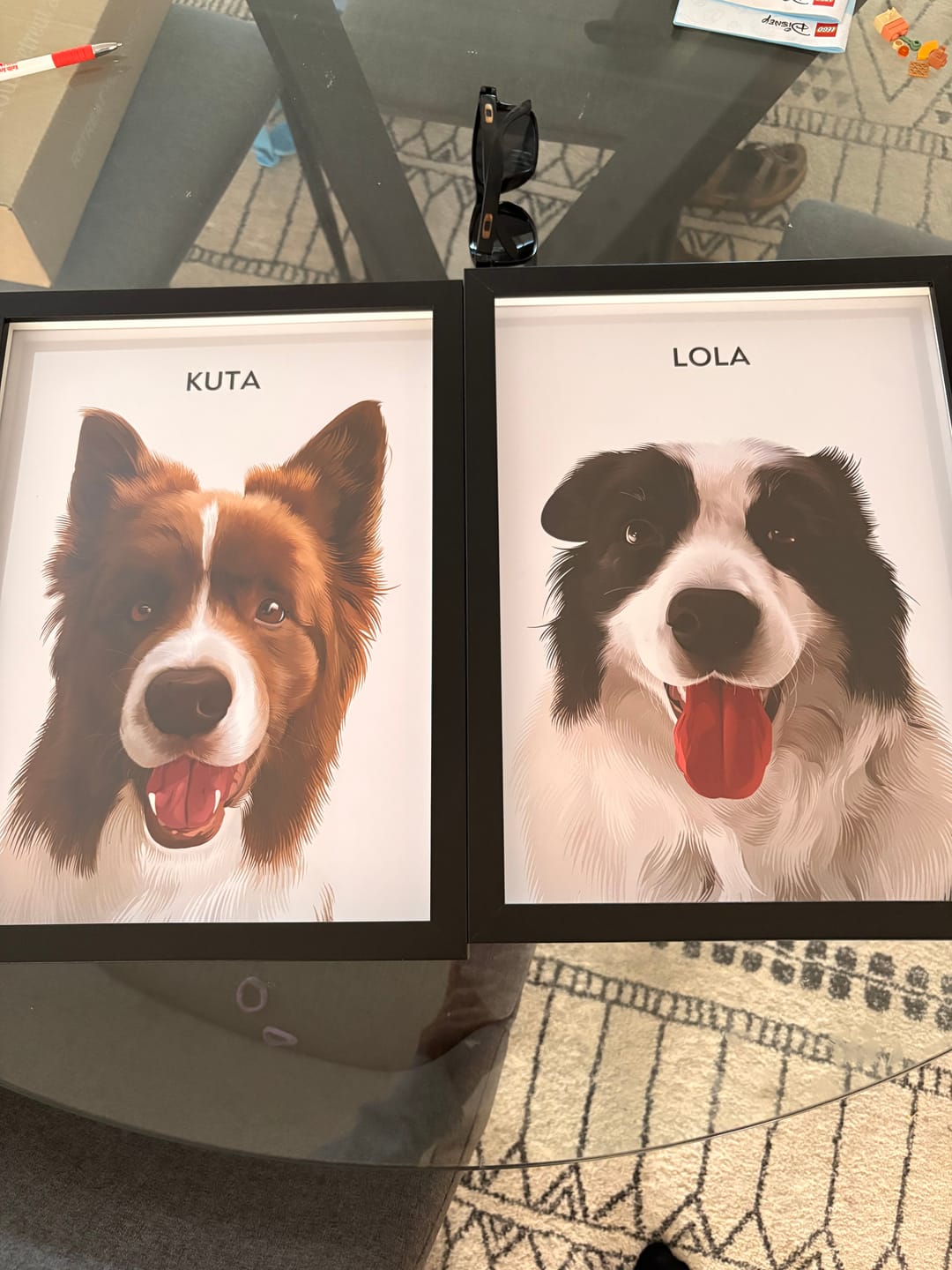 Customer photo review of 1 Pet