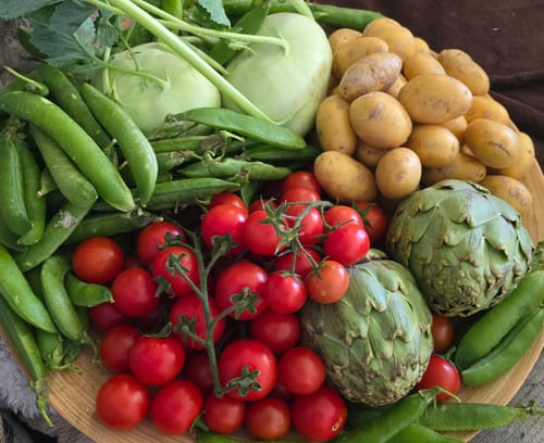 Kundenbild des frischen Bio-Kohlrabi in einer Schale mit Erbsen, Tomaten und Kartoffeln.