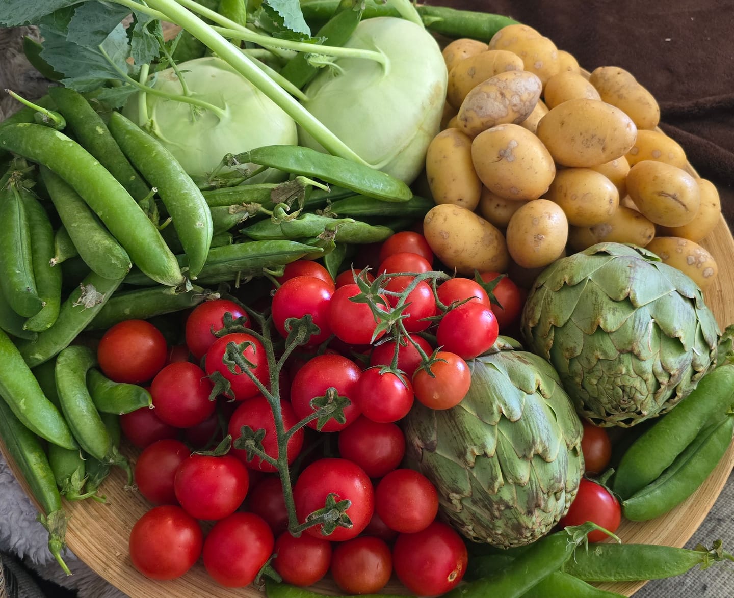 Customer photo review of Kohlrabi grün demeter Bio