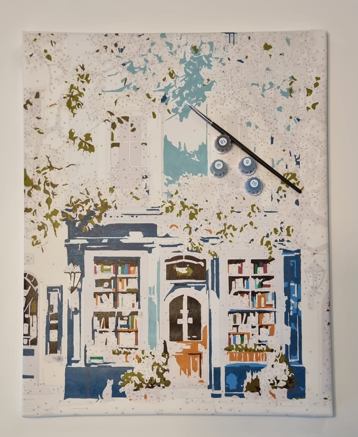 Customer photo review of The Blue Bookshop | Paint by Number