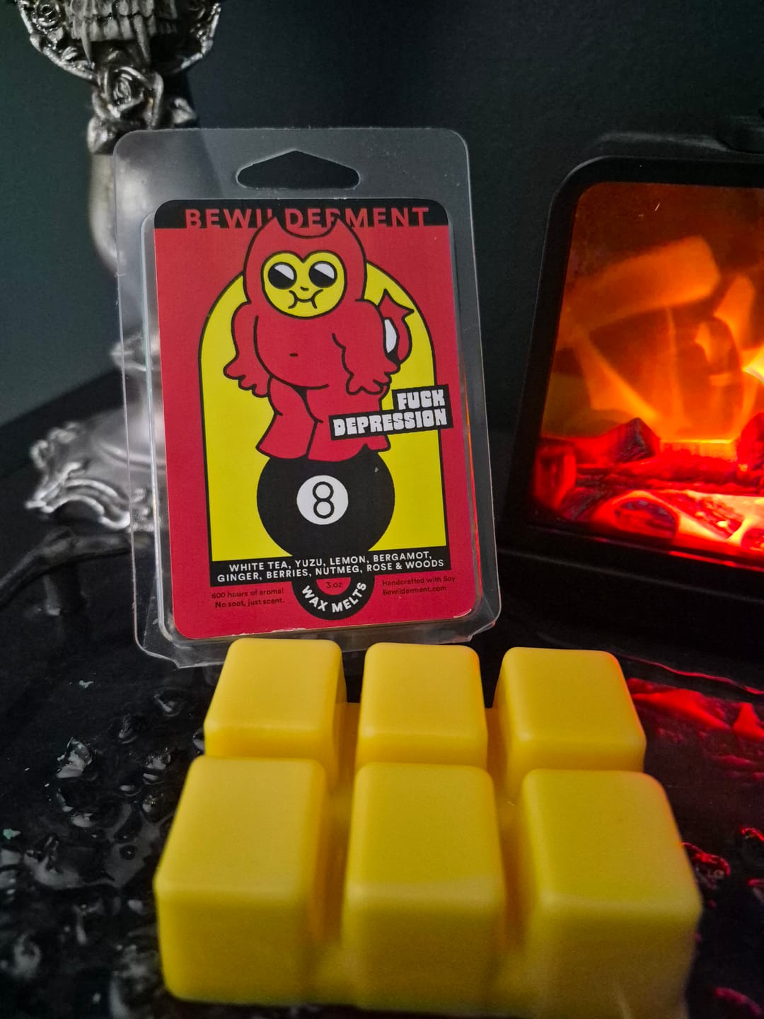 Customer photo review of Fuck Depression Wax Melts
