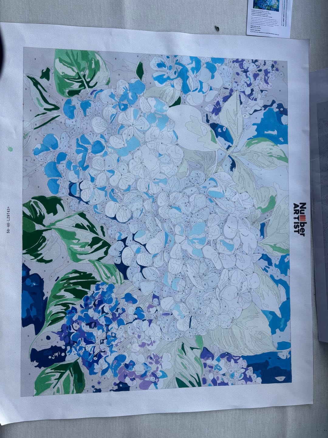 Customer photo review of Blue Hydrangea
