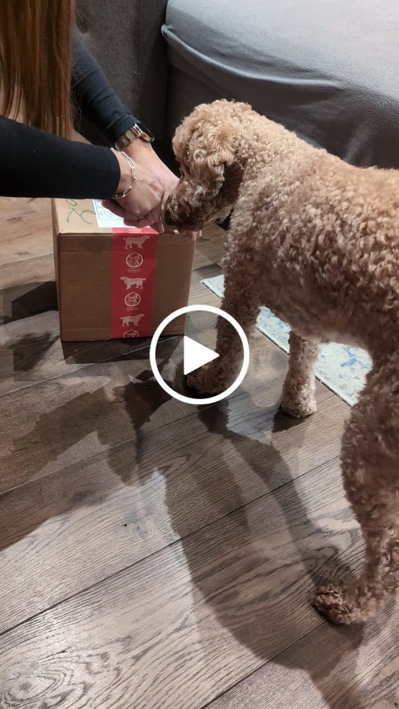 Customer video review of Scottish Salmon Dry Food