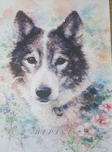 Customer photo review of Personalised Poster With Dog or Cat - Watercolour