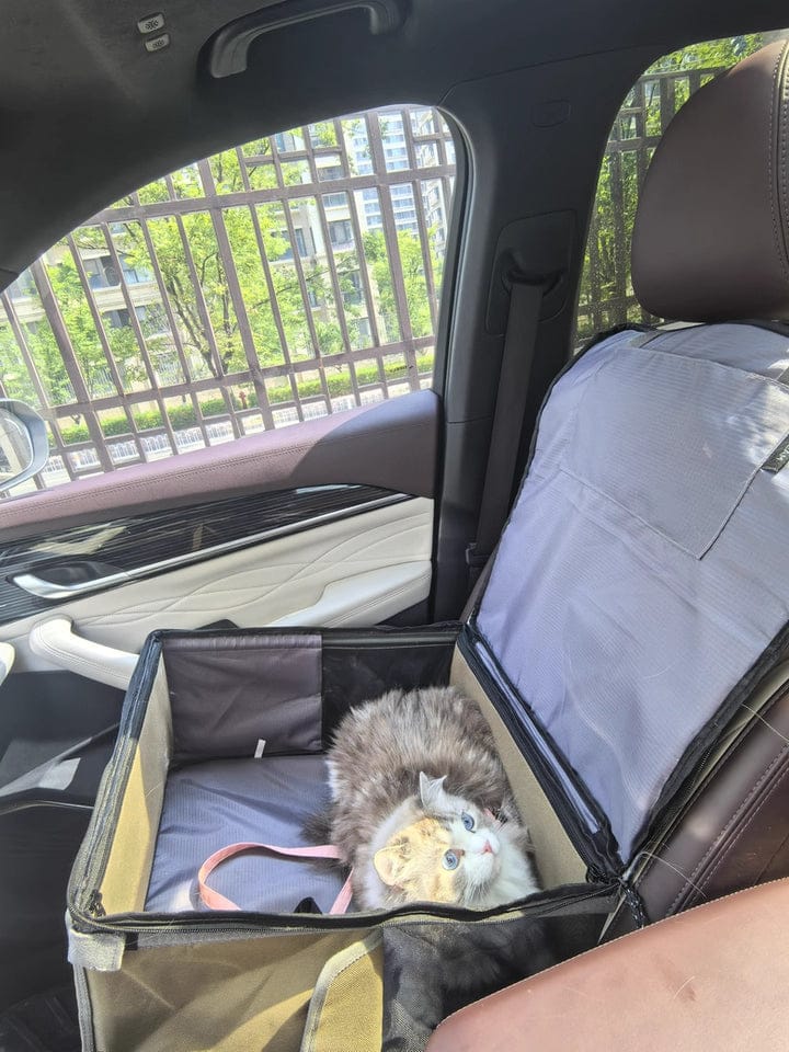 Customer photo review of Pet 2-in-1 Car Seat & Backpack with Seatback Protector – Foldable Design
