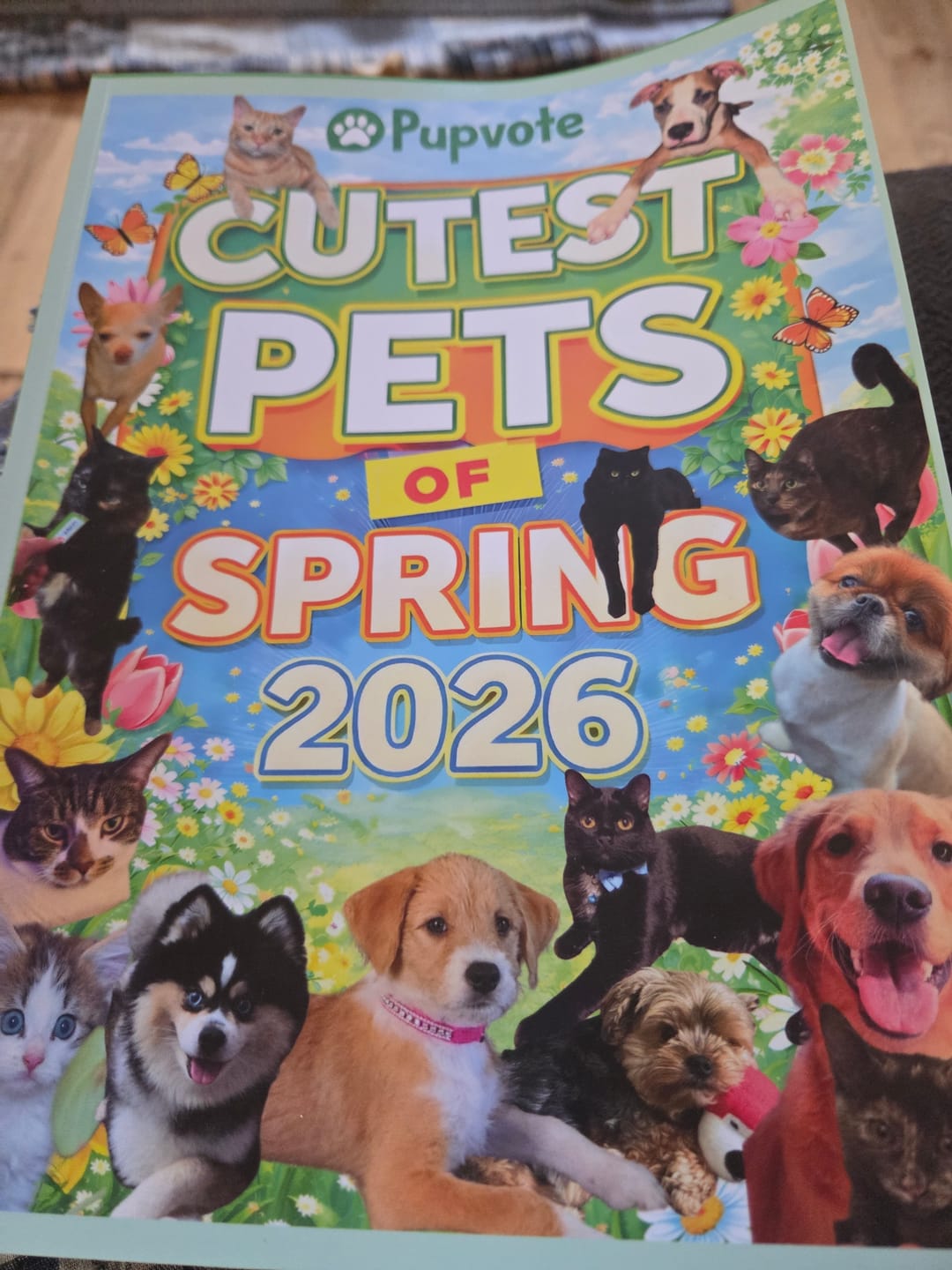 Customer photo review of Cutest Pets of Pupvote Spring 2026