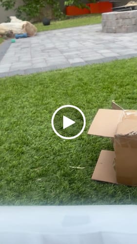 Customer video review of CloudAlign™ Pillow