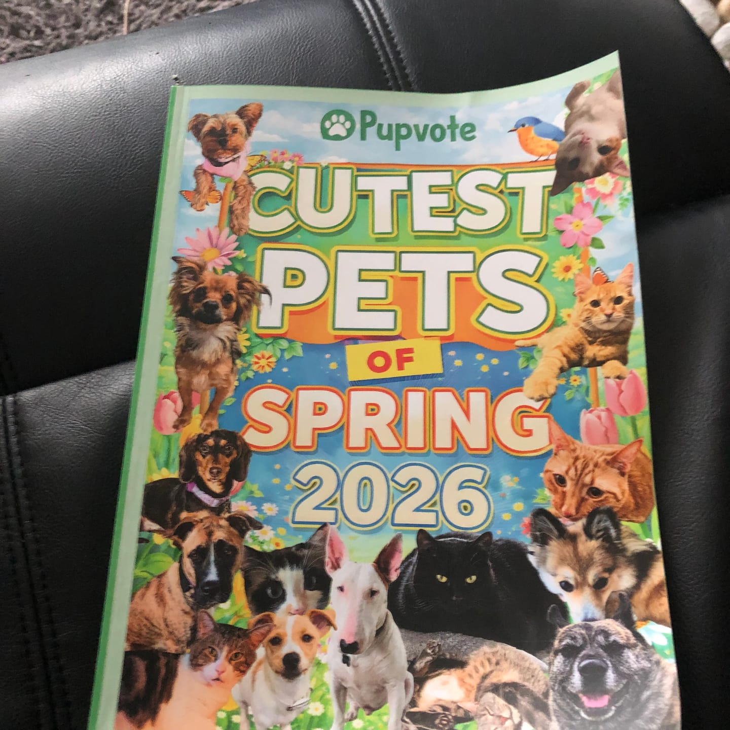 Customer photo review of Cutest Pets of Pupvote Spring 2026