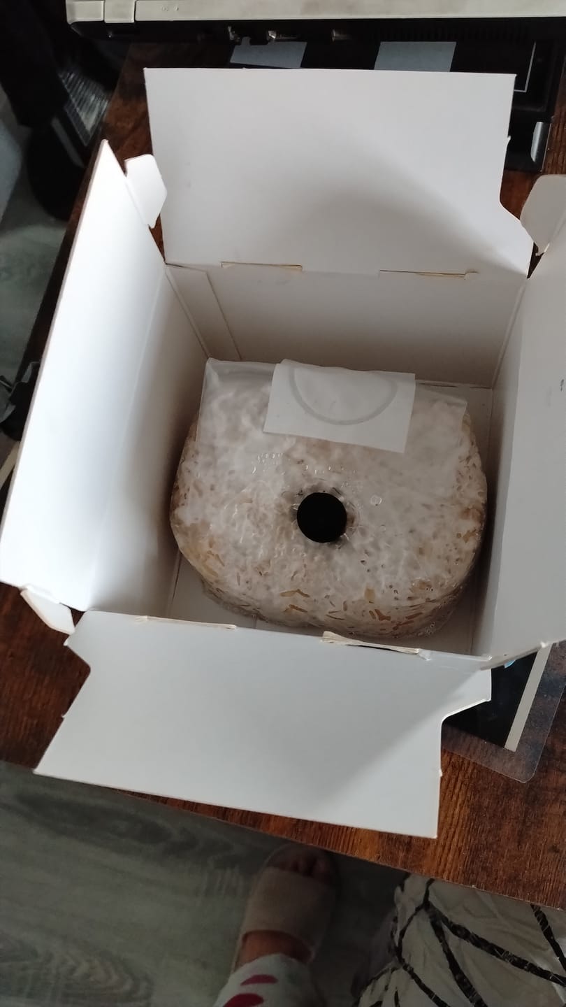 Customer photo review of Ayekan Box