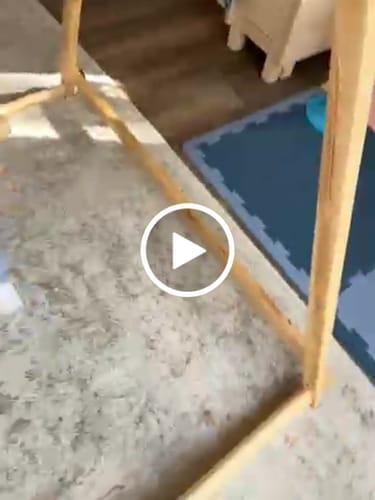Customer photo review of Spruce | Foldable Baby Swing
