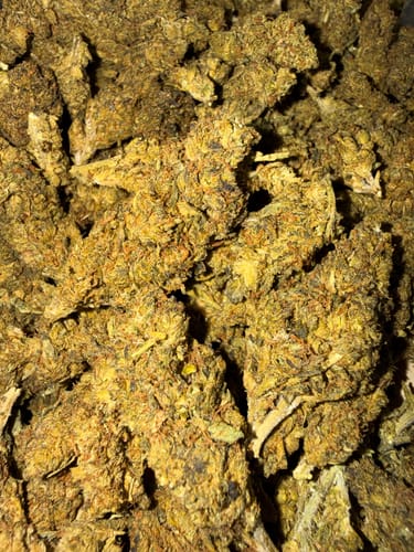 London Pound Cake 97 - Bulk - Indica photo review