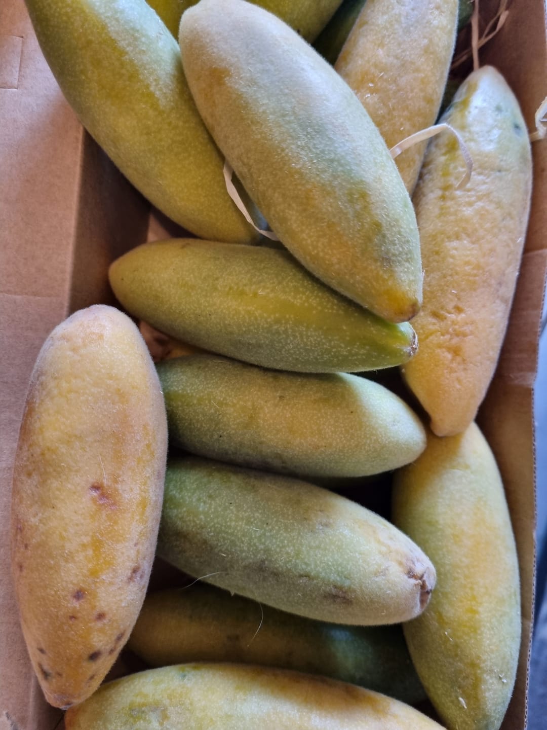 Customer photo review of Curuba (Bananen-Maracuja)