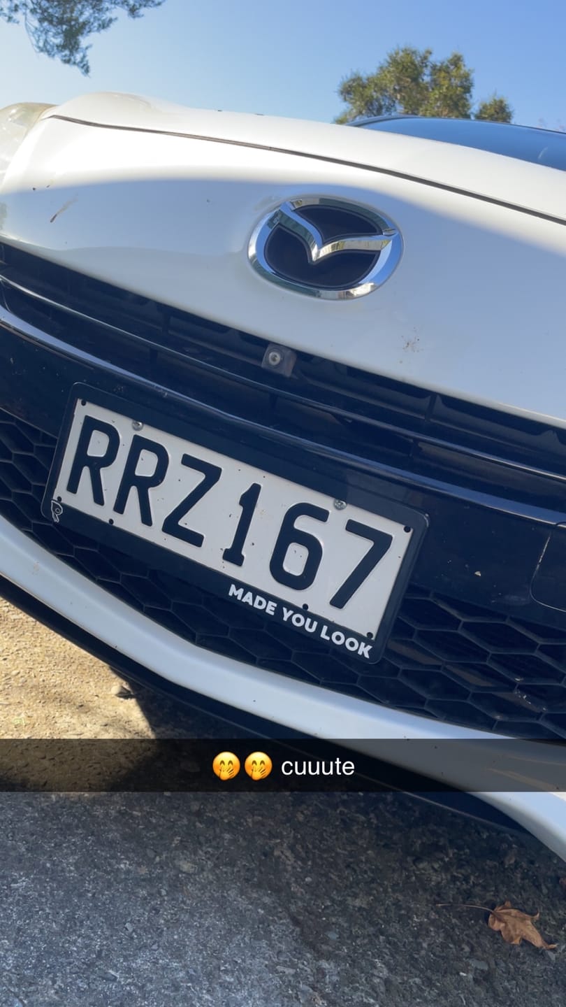 Customer photo review of Made you Look Plate Frames