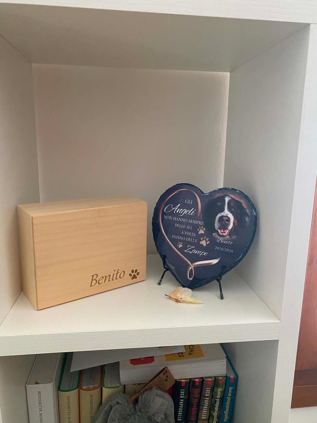 Customer photo review of Supporto