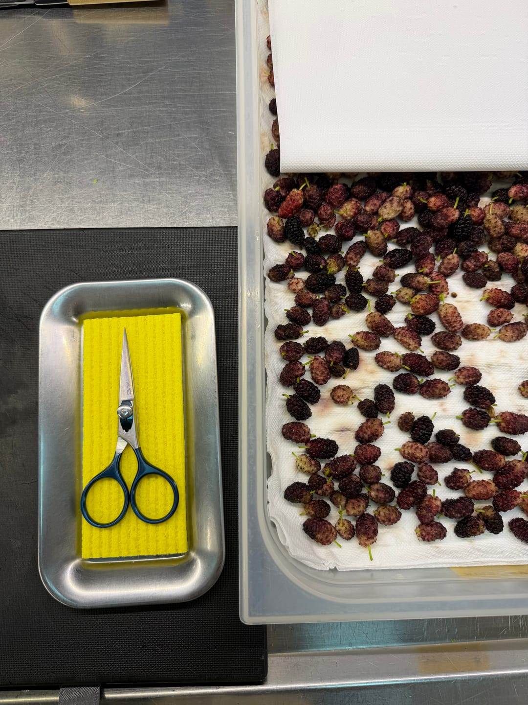 Customer photo review of SuperSharp Kitchen Scissors