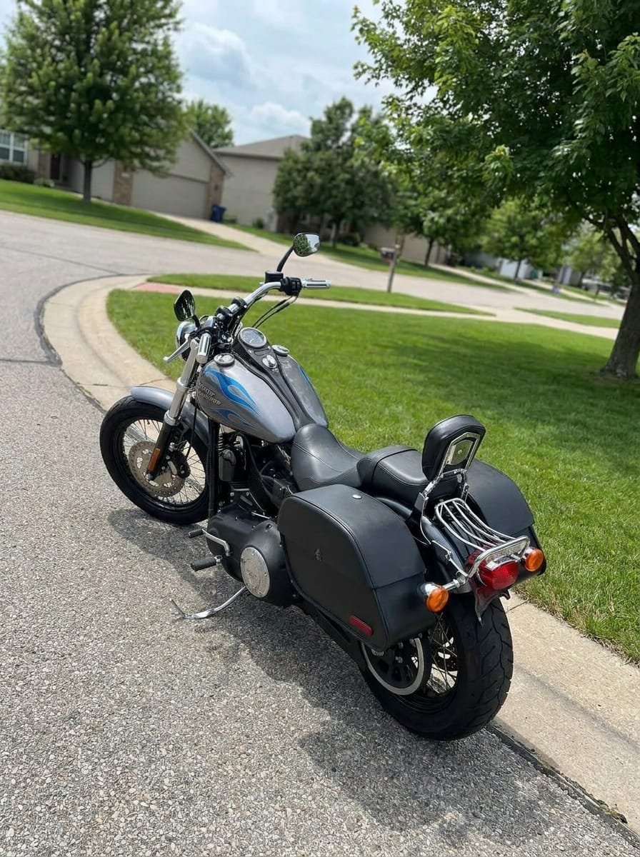 Customer photo review of 32L - Panzer Large Hard Mount Shock Cutout Saddlebags for Harley Dyna Wide Glide FXDWG/I