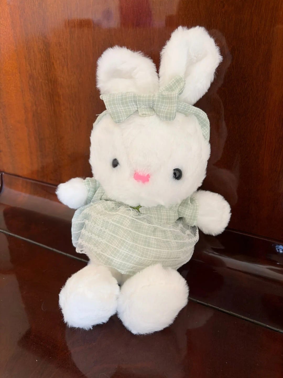 Customer photo review of Miss Usagi Plushies