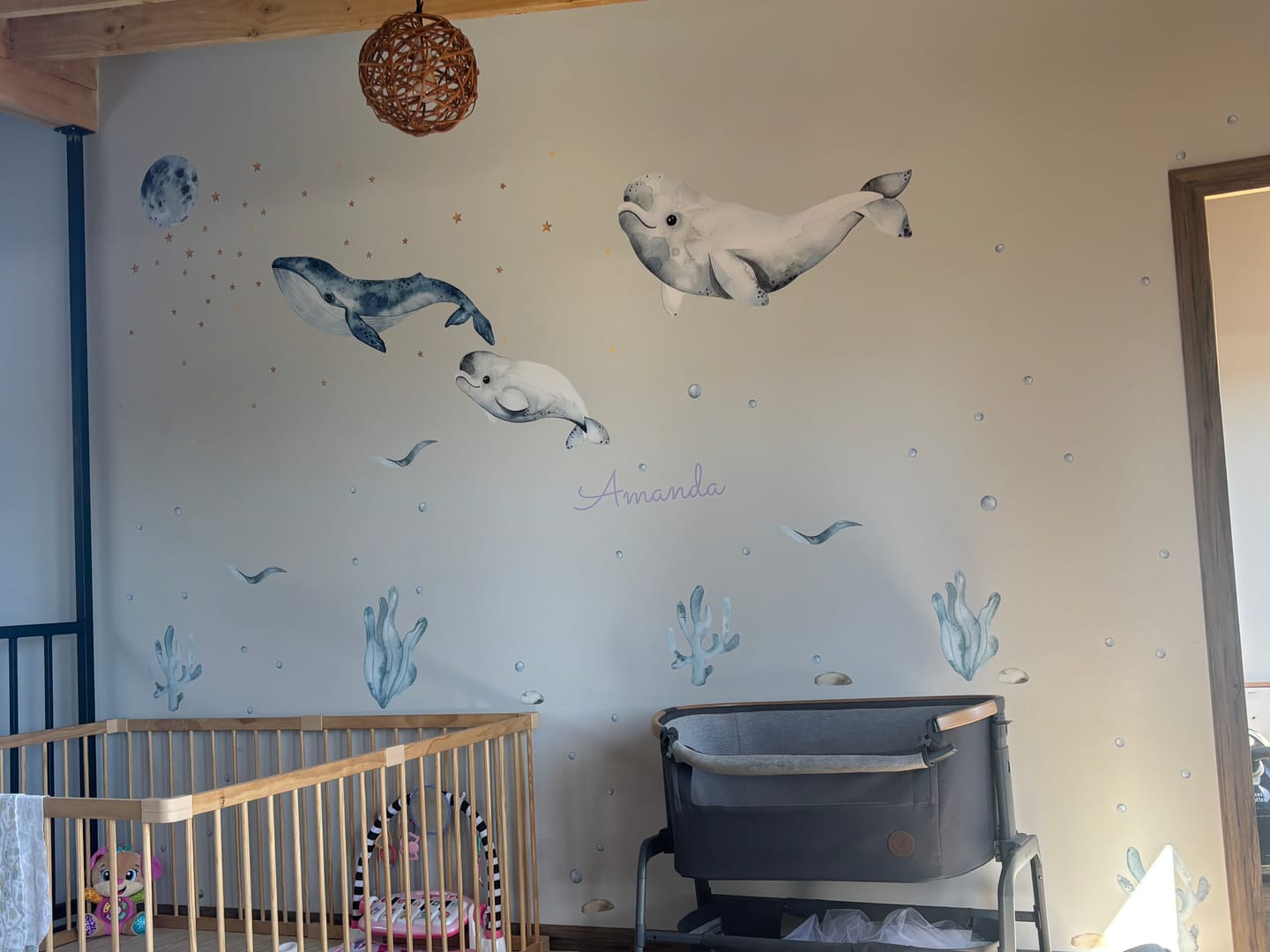 Customer photo review of Ballenas belugas