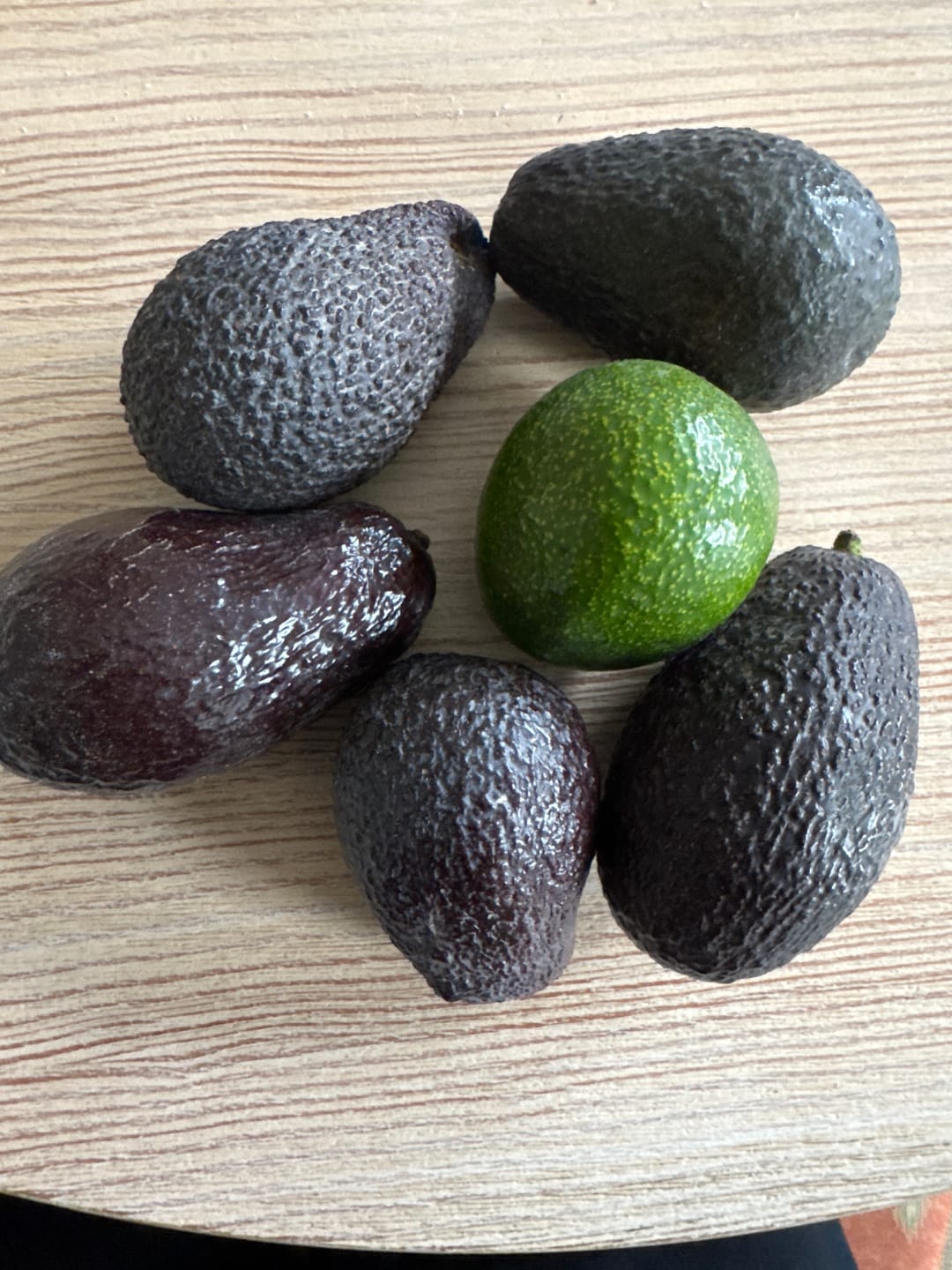 Customer photo review of Avocado-Mix 13 Monate baumgereift Sonderaktion % 2kg Box