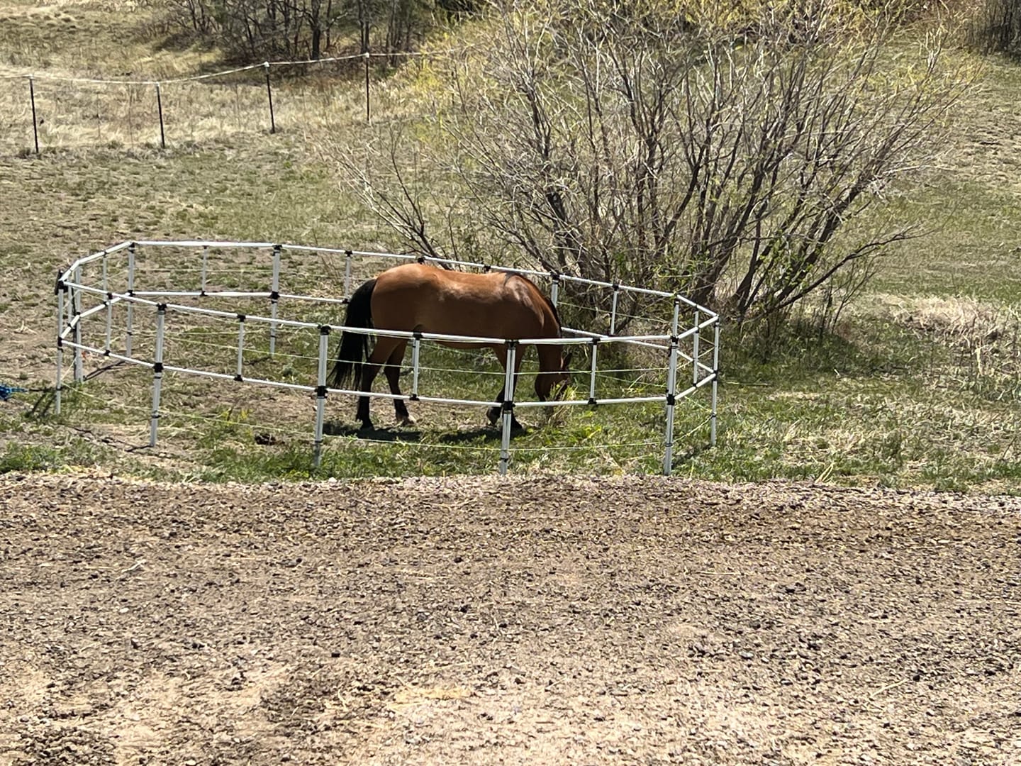 Customer photo review of Ready Made Portable Electric Horse Corral Fencing: (Electric EconoLine 10+2=12 Panels; 2 Rails)